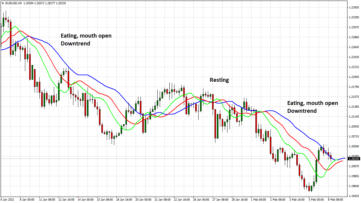 How to Use Alligator Indicator How to Use Alligator Indicator