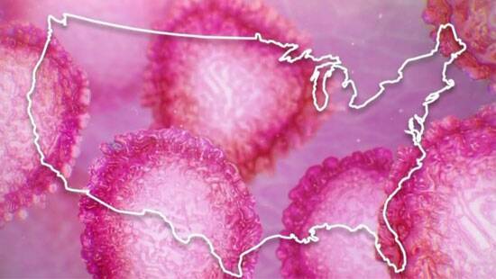 Stocks mixed after reports of rising coronavirus cases Stocks mixed after reports of rising coronavirus cases